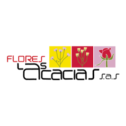 cliente-acacias